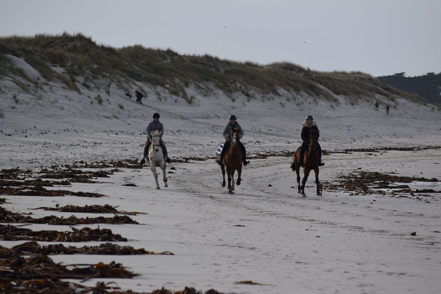 ballade-sur-la-plage-des-trois-moutons42