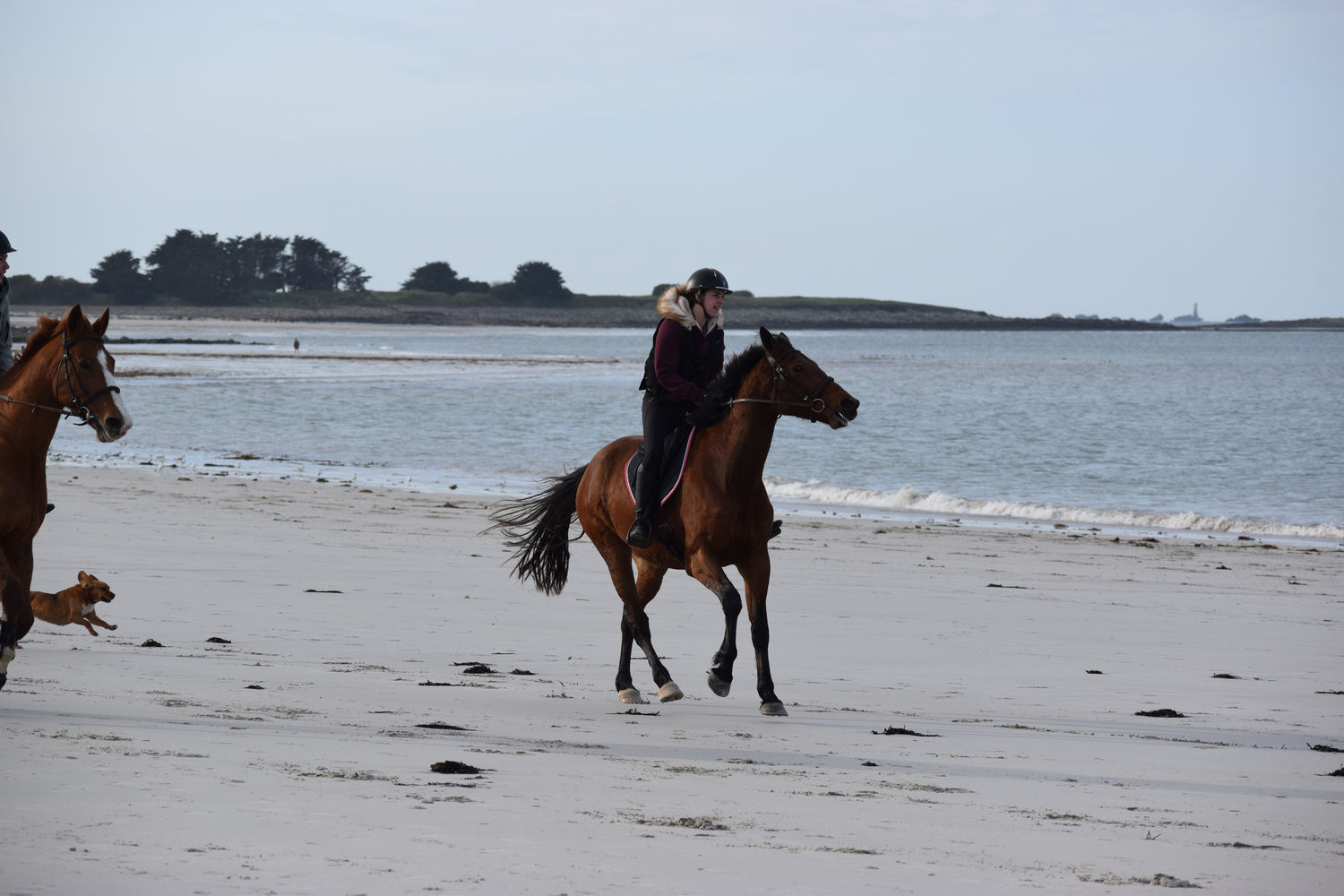 ballade-sur-la-plage-des-trois-moutons49