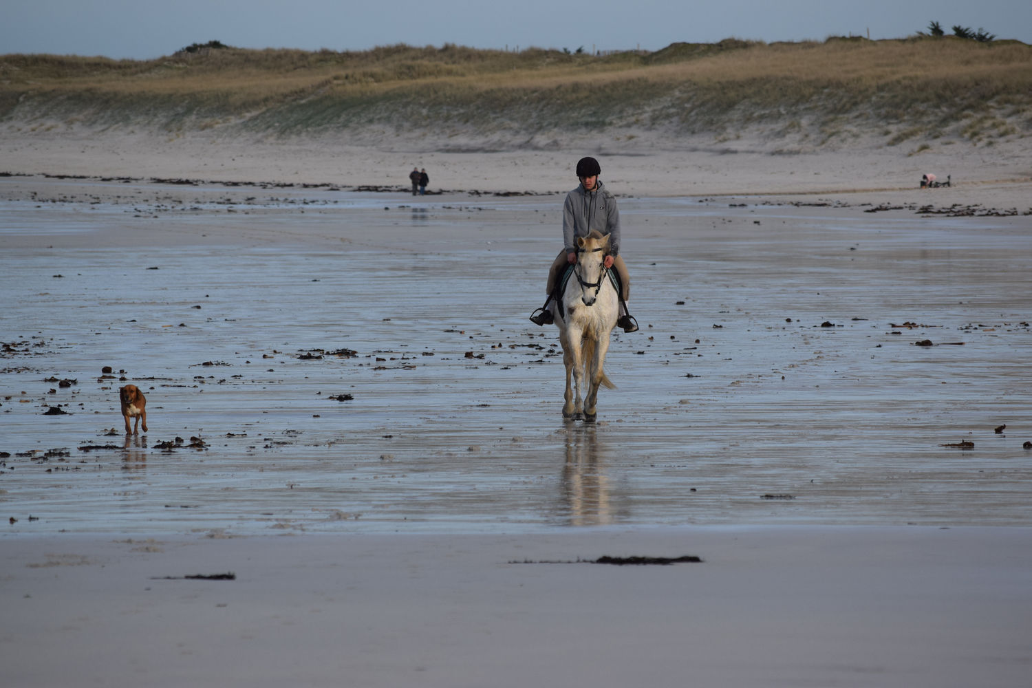 ballade-sur-la-plage-des-trois-moutons5