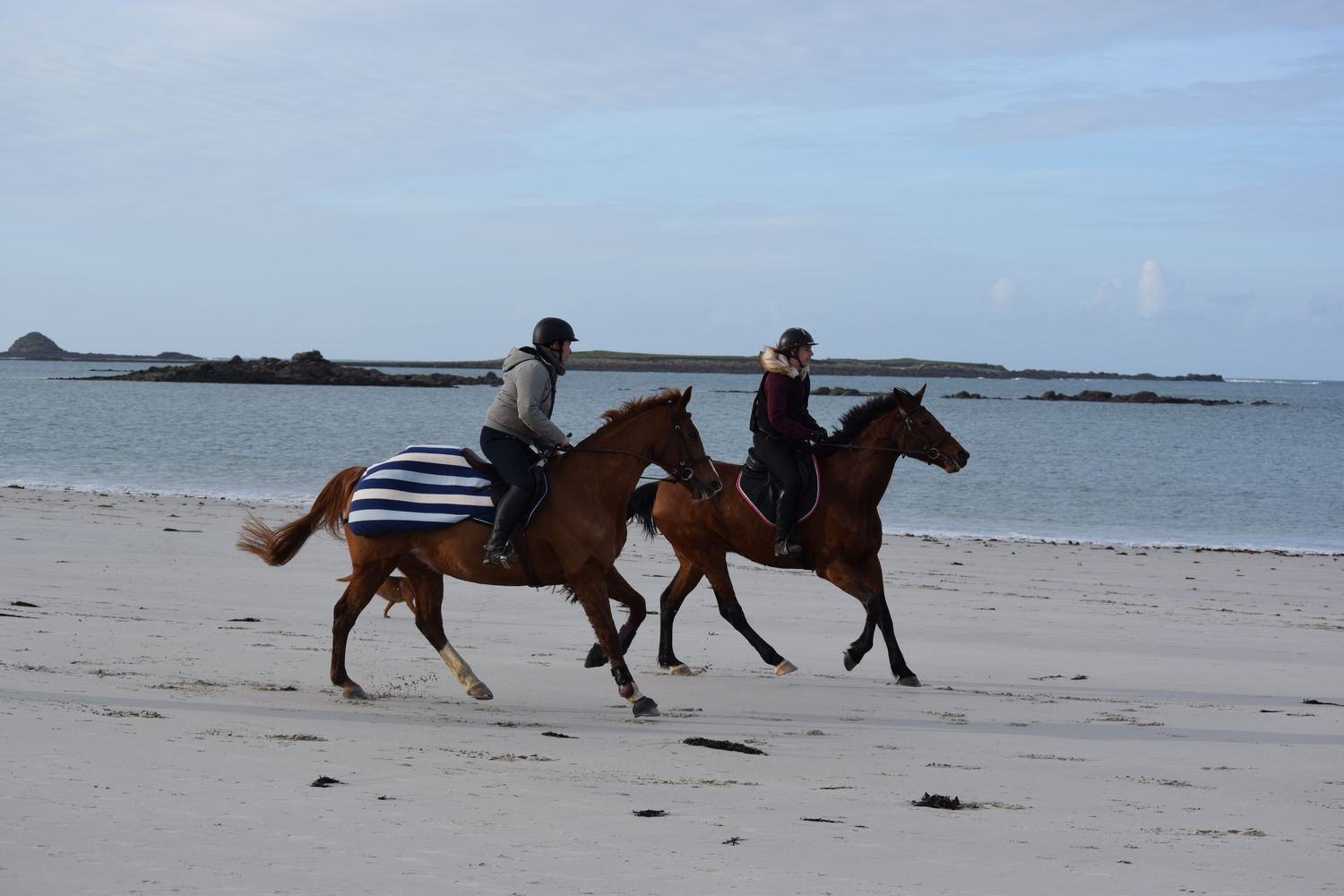 ballade-sur-la-plage-des-trois-moutons50