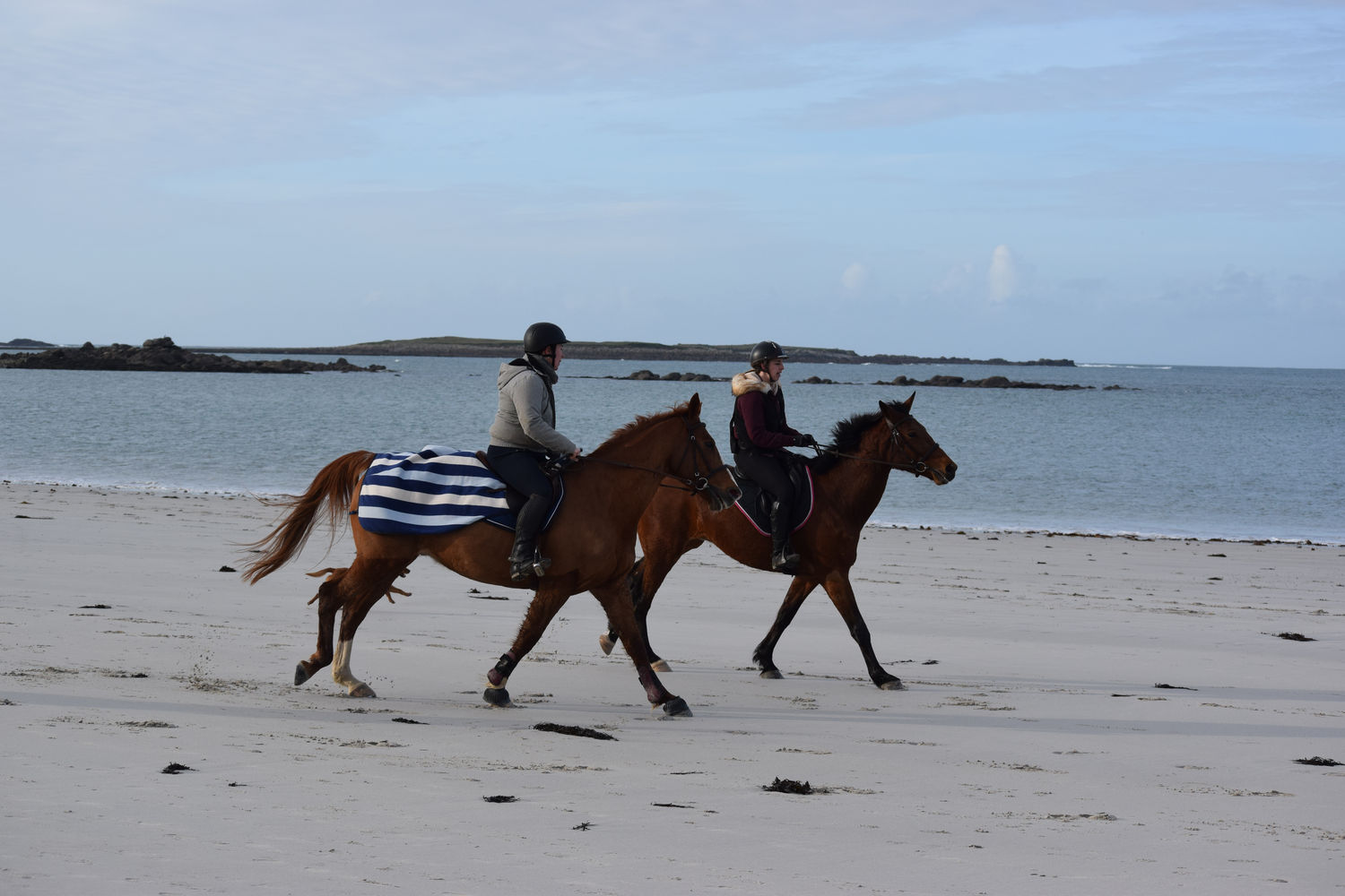 ballade-sur-la-plage-des-trois-moutons51