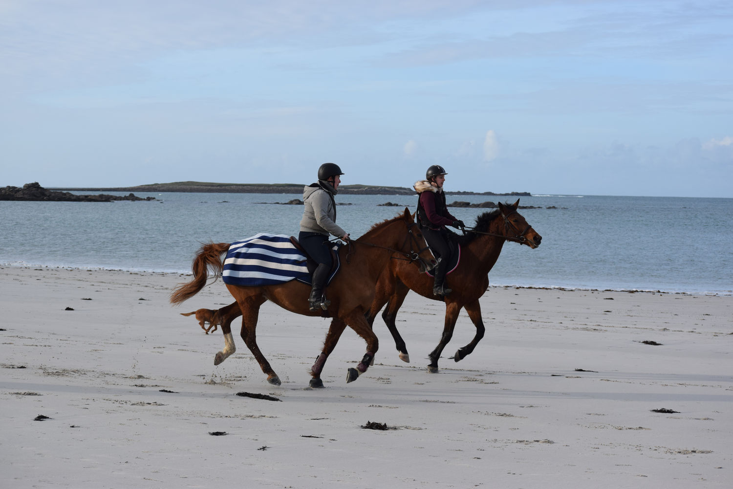 ballade-sur-la-plage-des-trois-moutons52