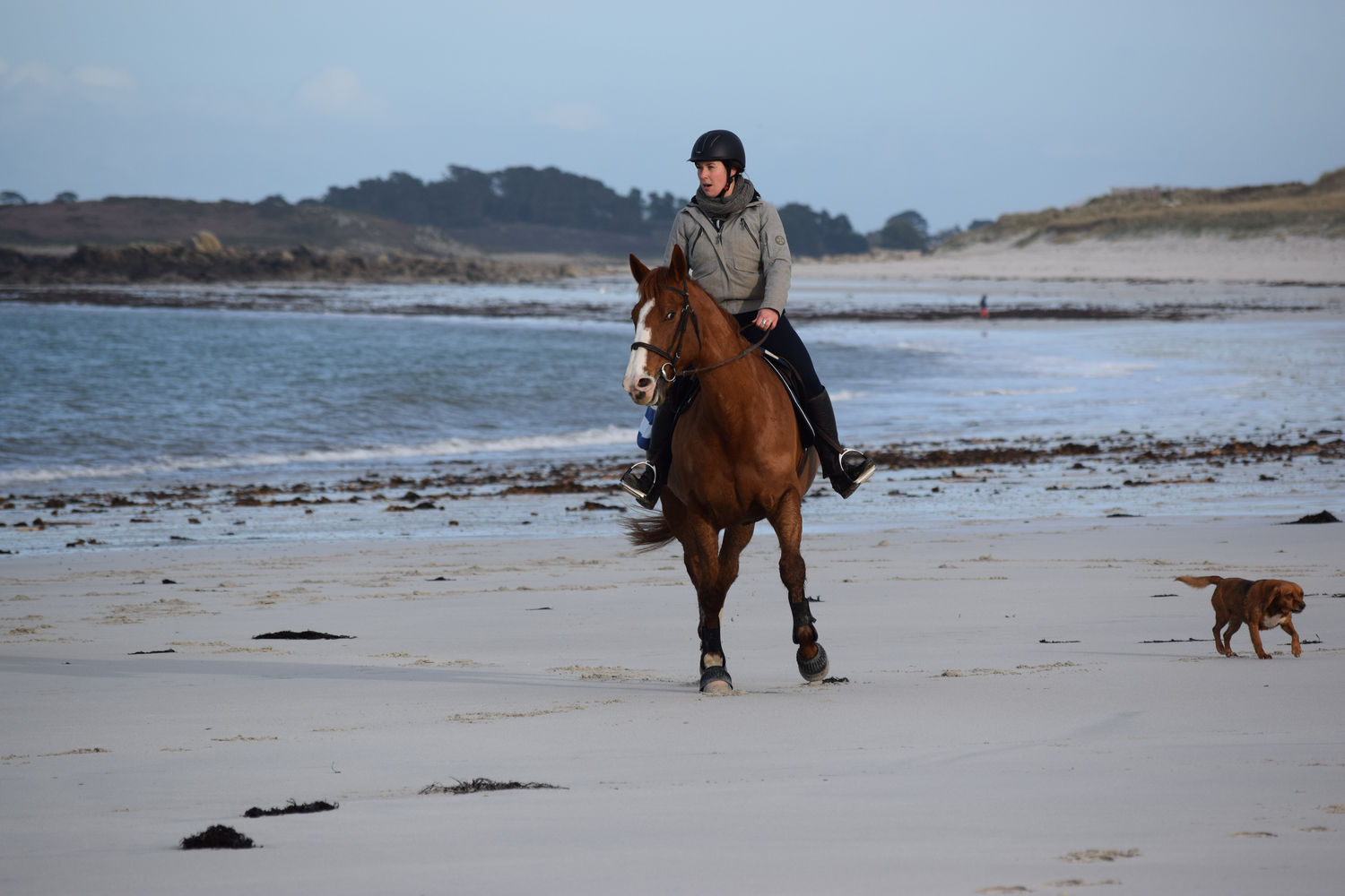 ballade-sur-la-plage-des-trois-moutons53