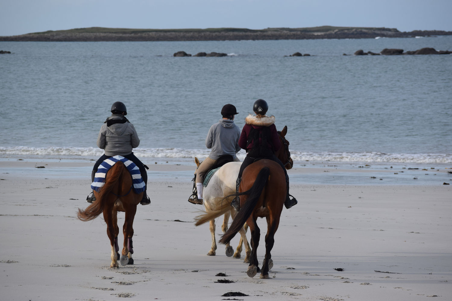 ballade-sur-la-plage-des-trois-moutons57