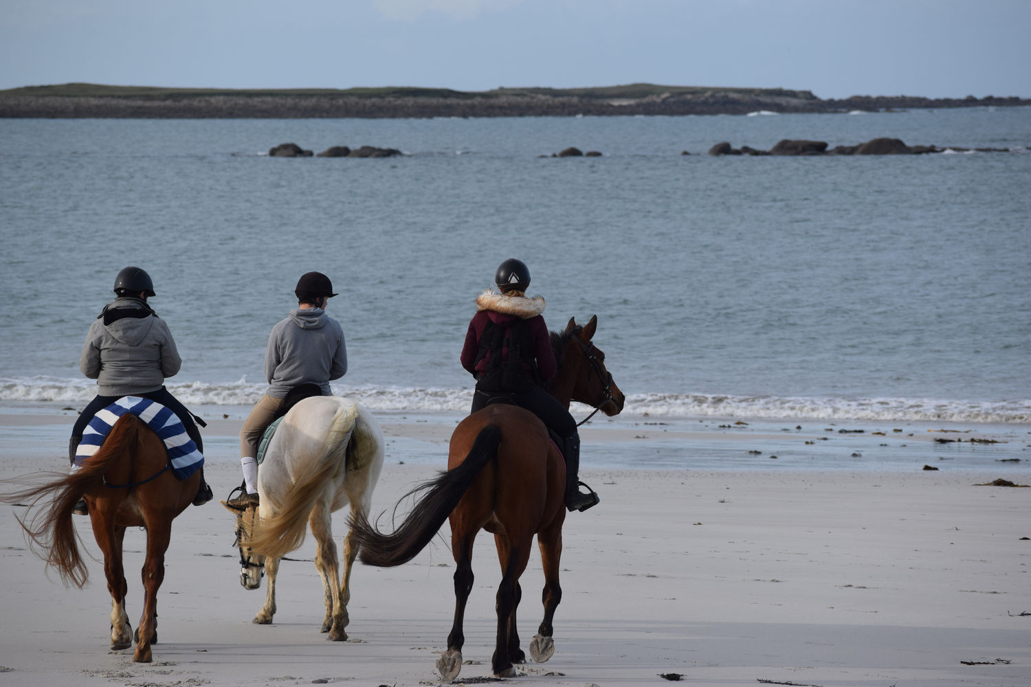 ballade-sur-la-plage-des-trois-moutons58