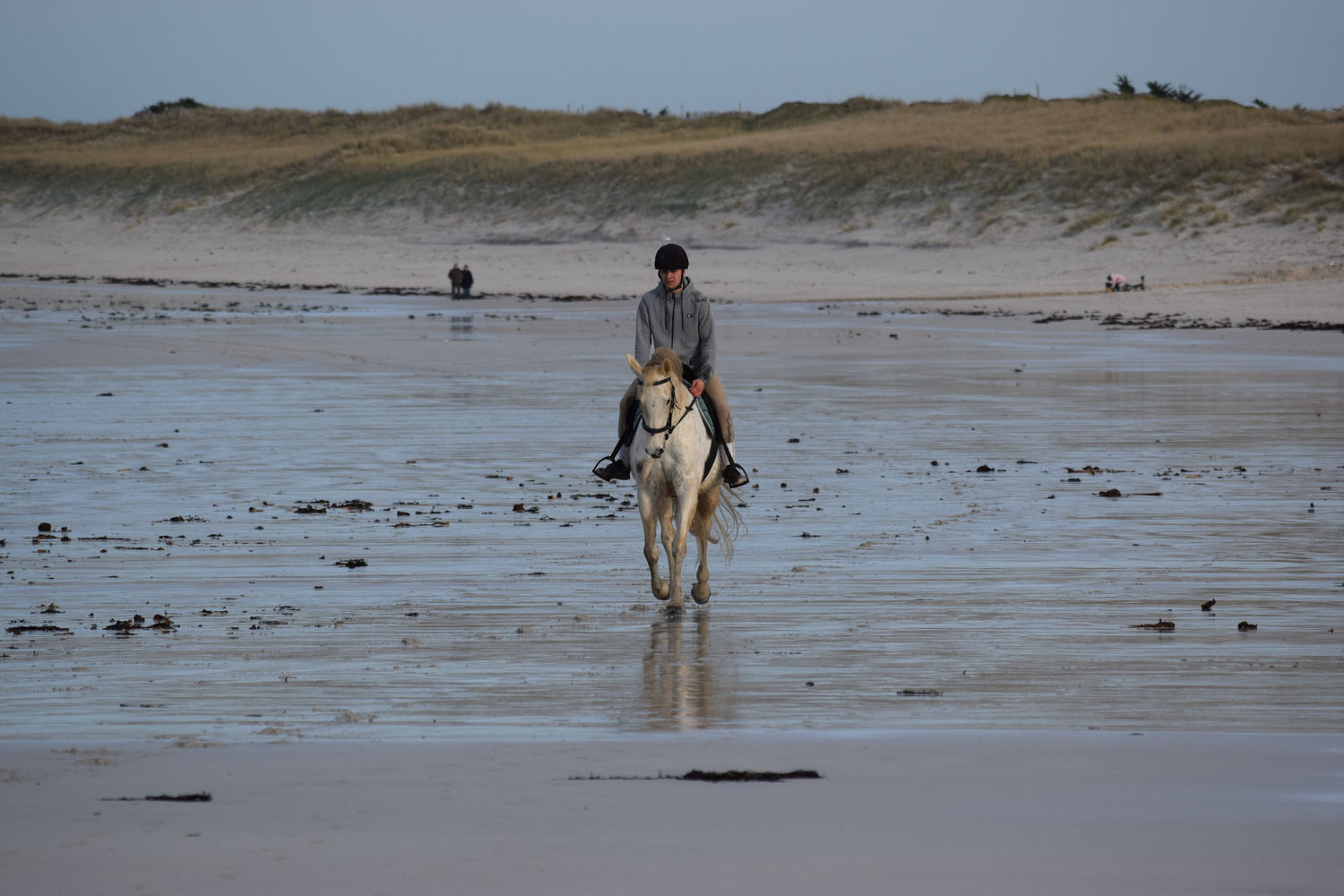 ballade-sur-la-plage-des-trois-moutons6