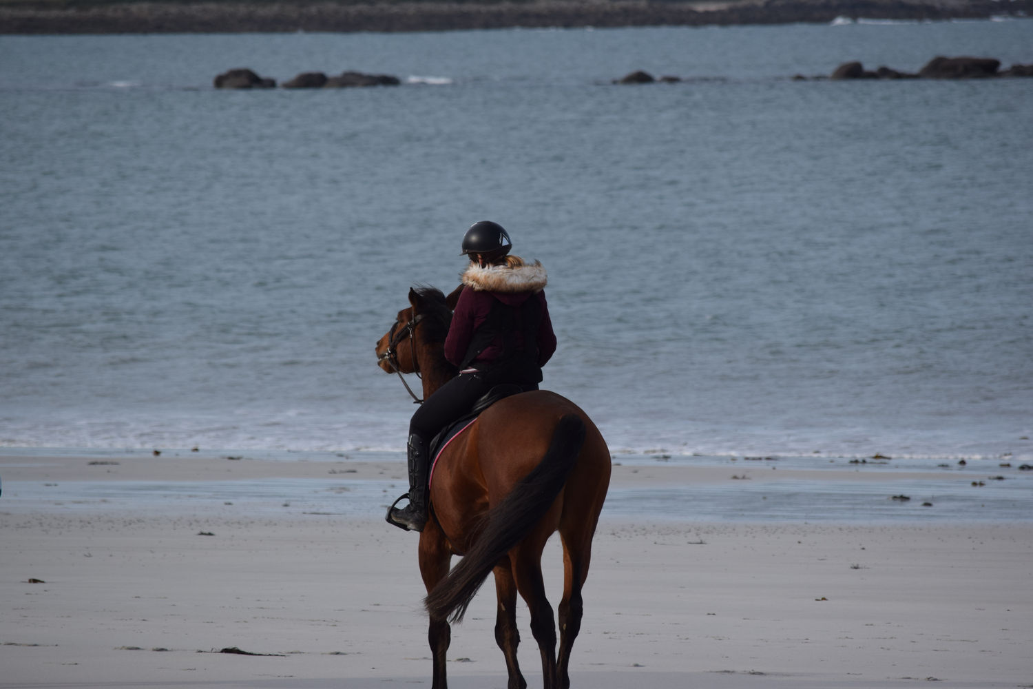 ballade-sur-la-plage-des-trois-moutons60