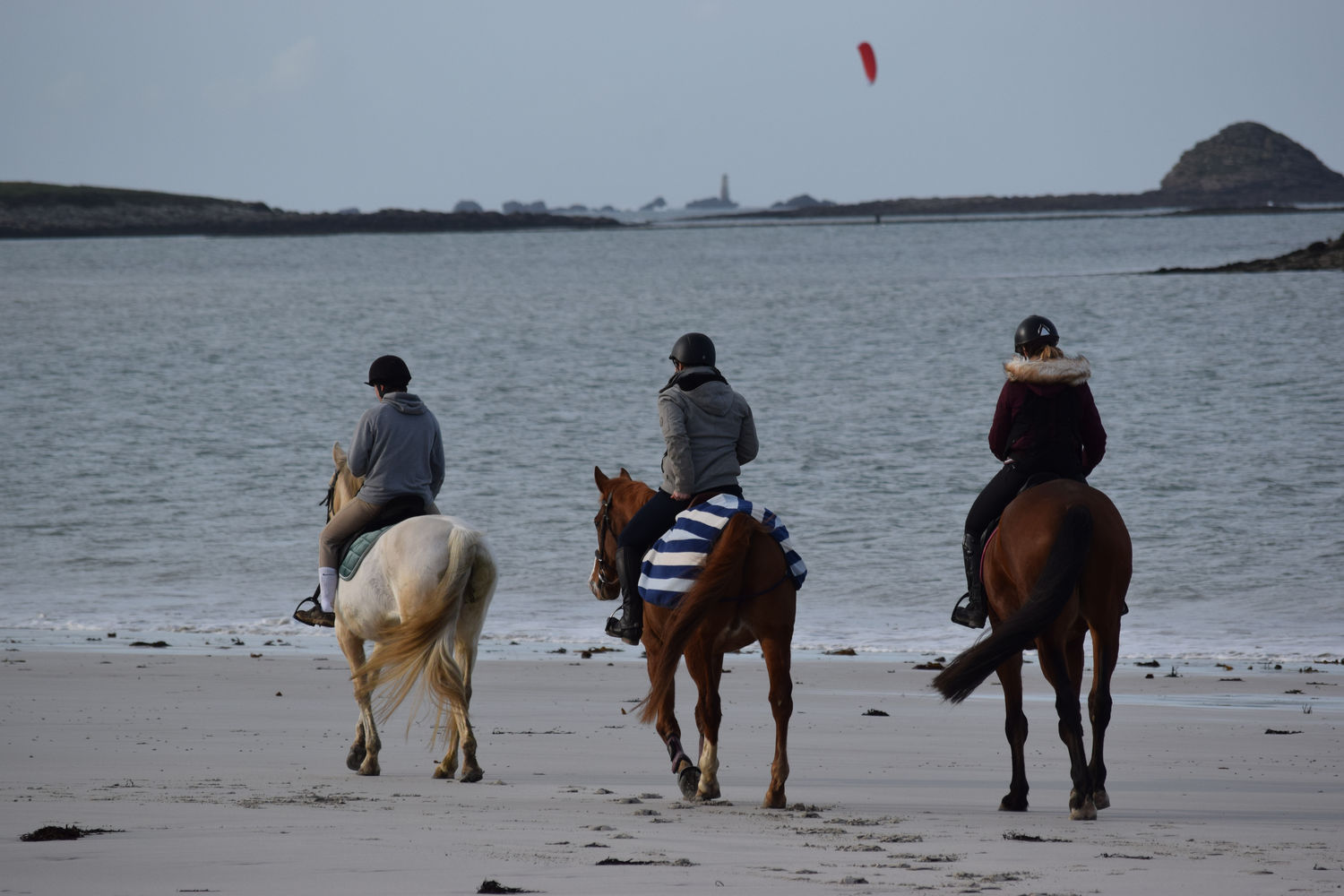 ballade-sur-la-plage-des-trois-moutons61