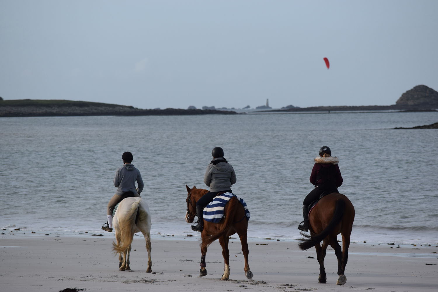 ballade-sur-la-plage-des-trois-moutons62