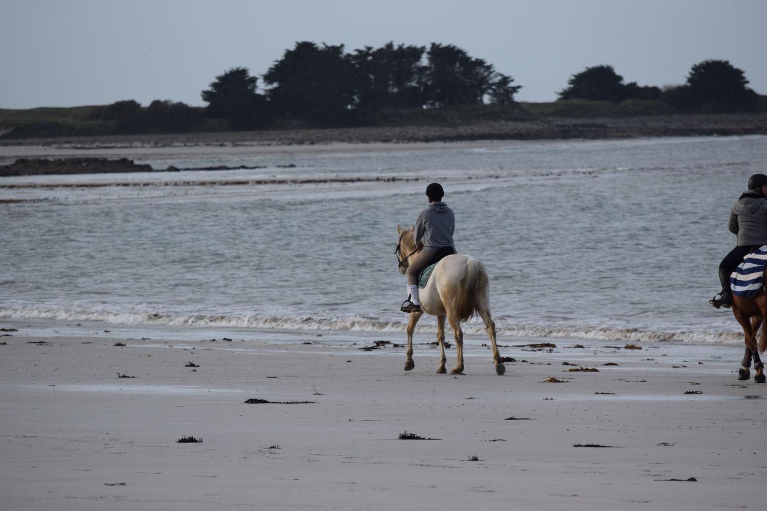 ballade-sur-la-plage-des-trois-moutons63