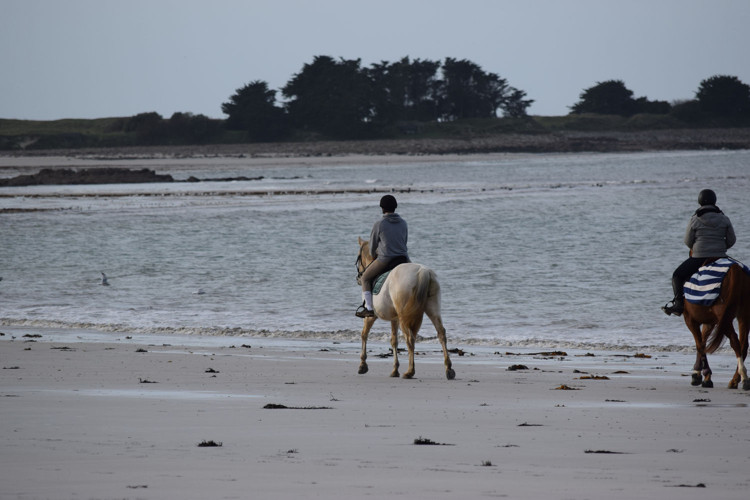 ballade-sur-la-plage-des-trois-moutons64