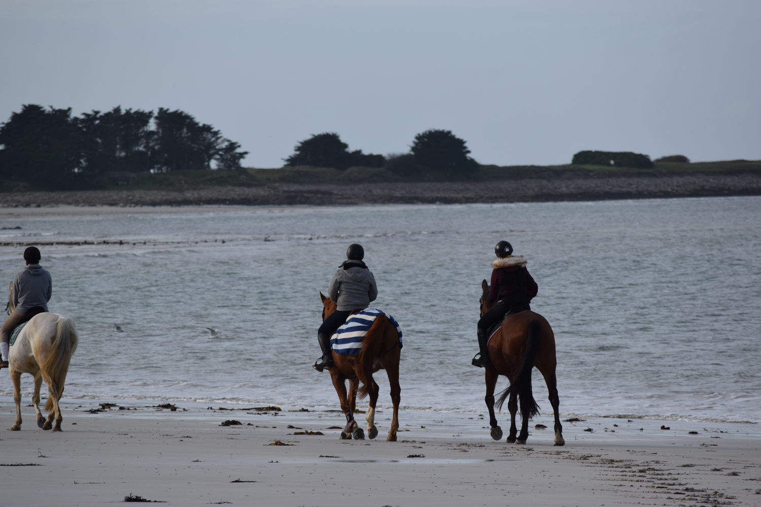 ballade-sur-la-plage-des-trois-moutons65