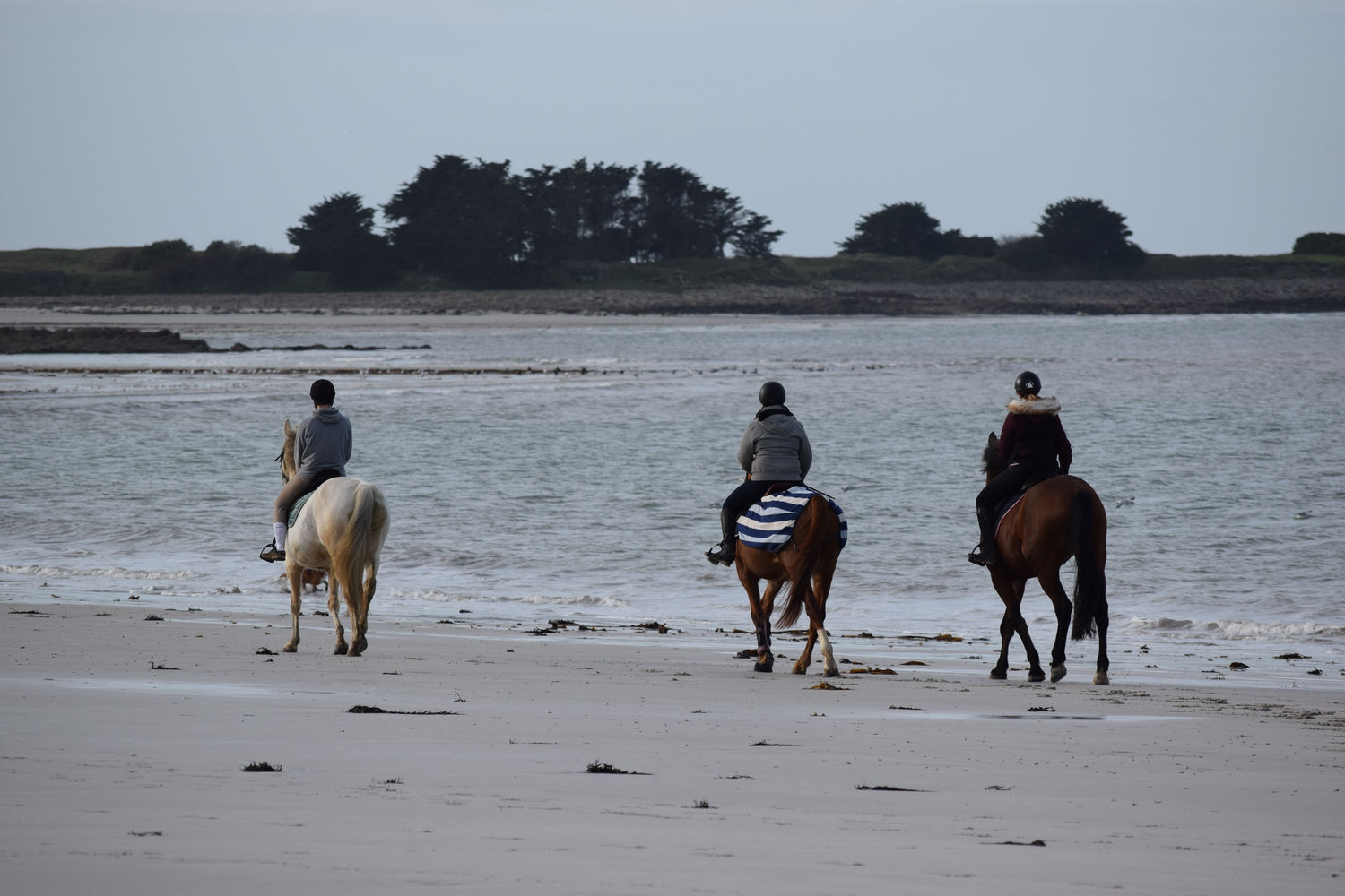 ballade-sur-la-plage-des-trois-moutons66