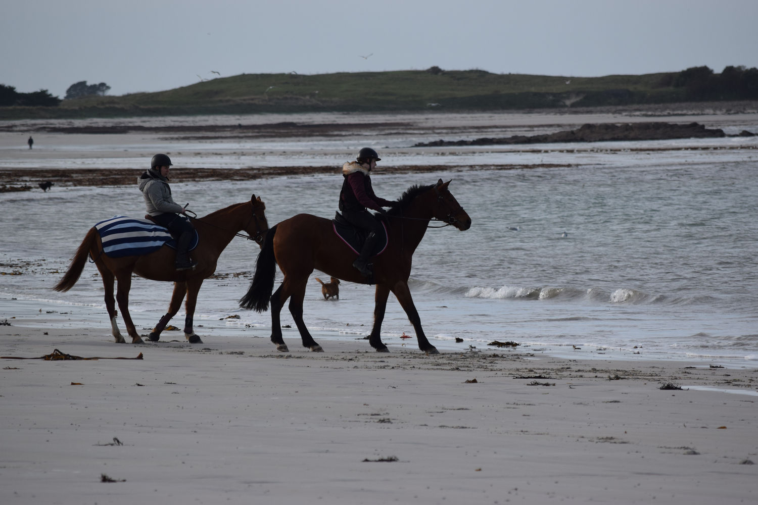 ballade-sur-la-plage-des-trois-moutons68