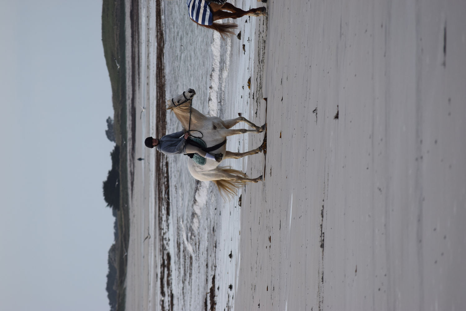 ballade-sur-la-plage-des-trois-moutons69