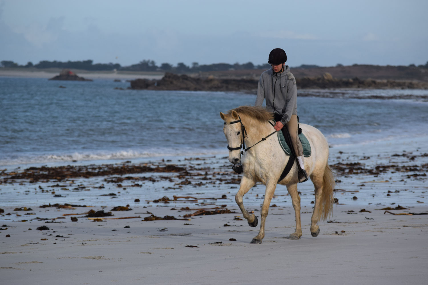 ballade-sur-la-plage-des-trois-moutons7