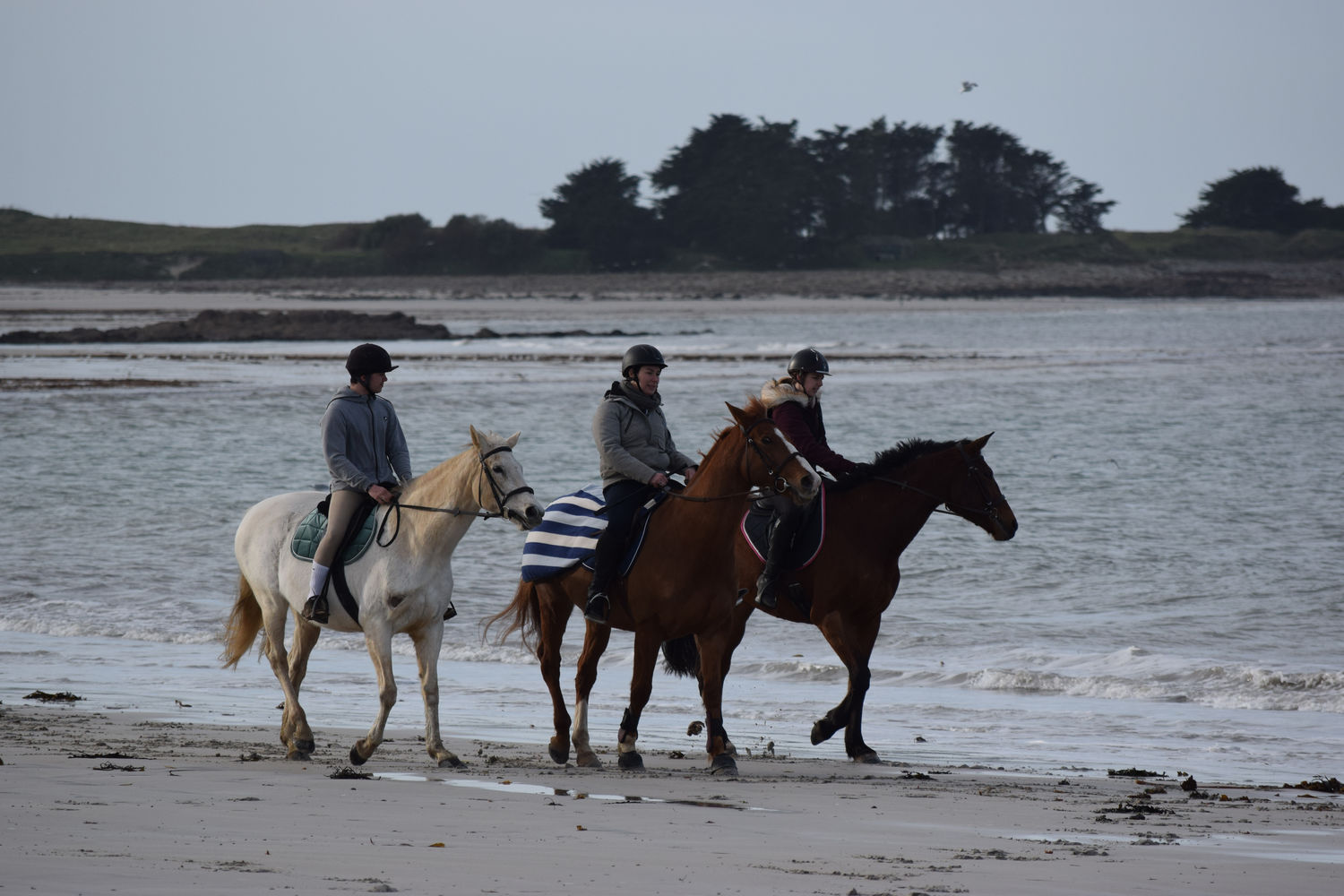 ballade-sur-la-plage-des-trois-moutons70