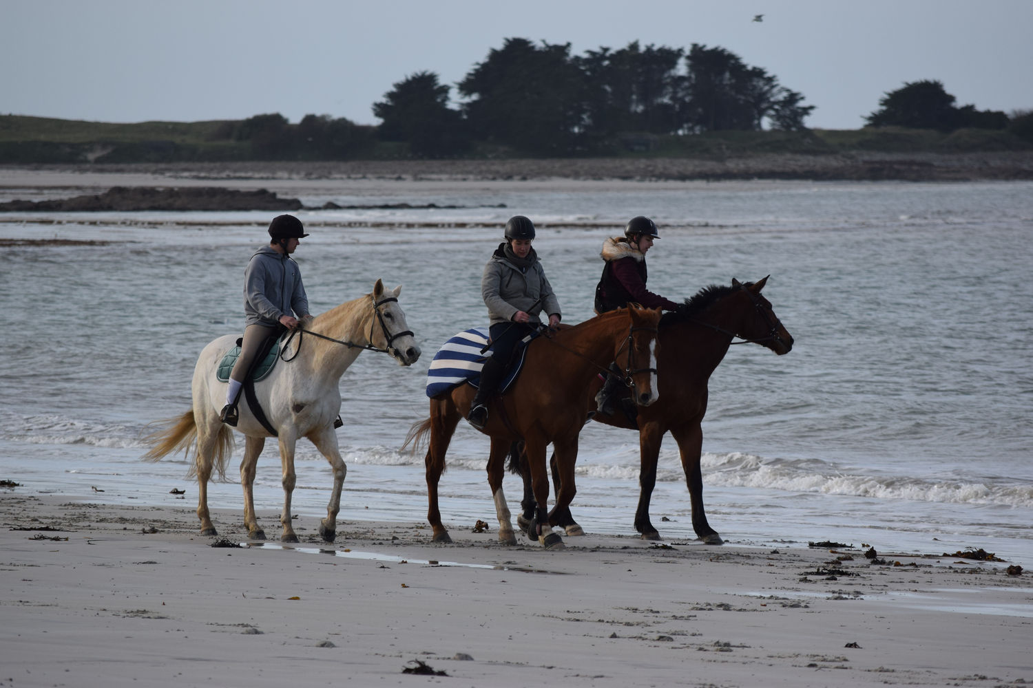 ballade-sur-la-plage-des-trois-moutons71