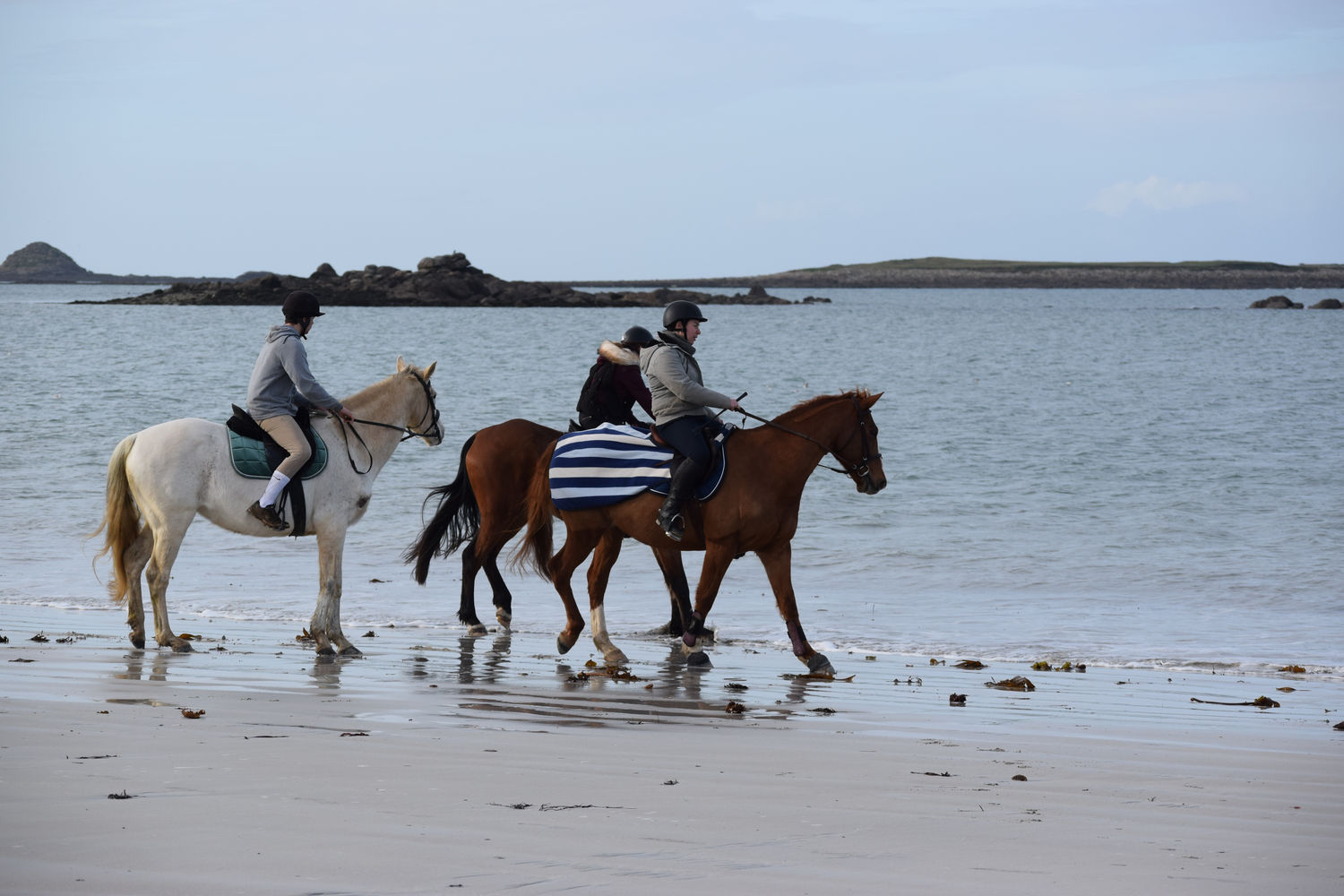 ballade-sur-la-plage-des-trois-moutons73