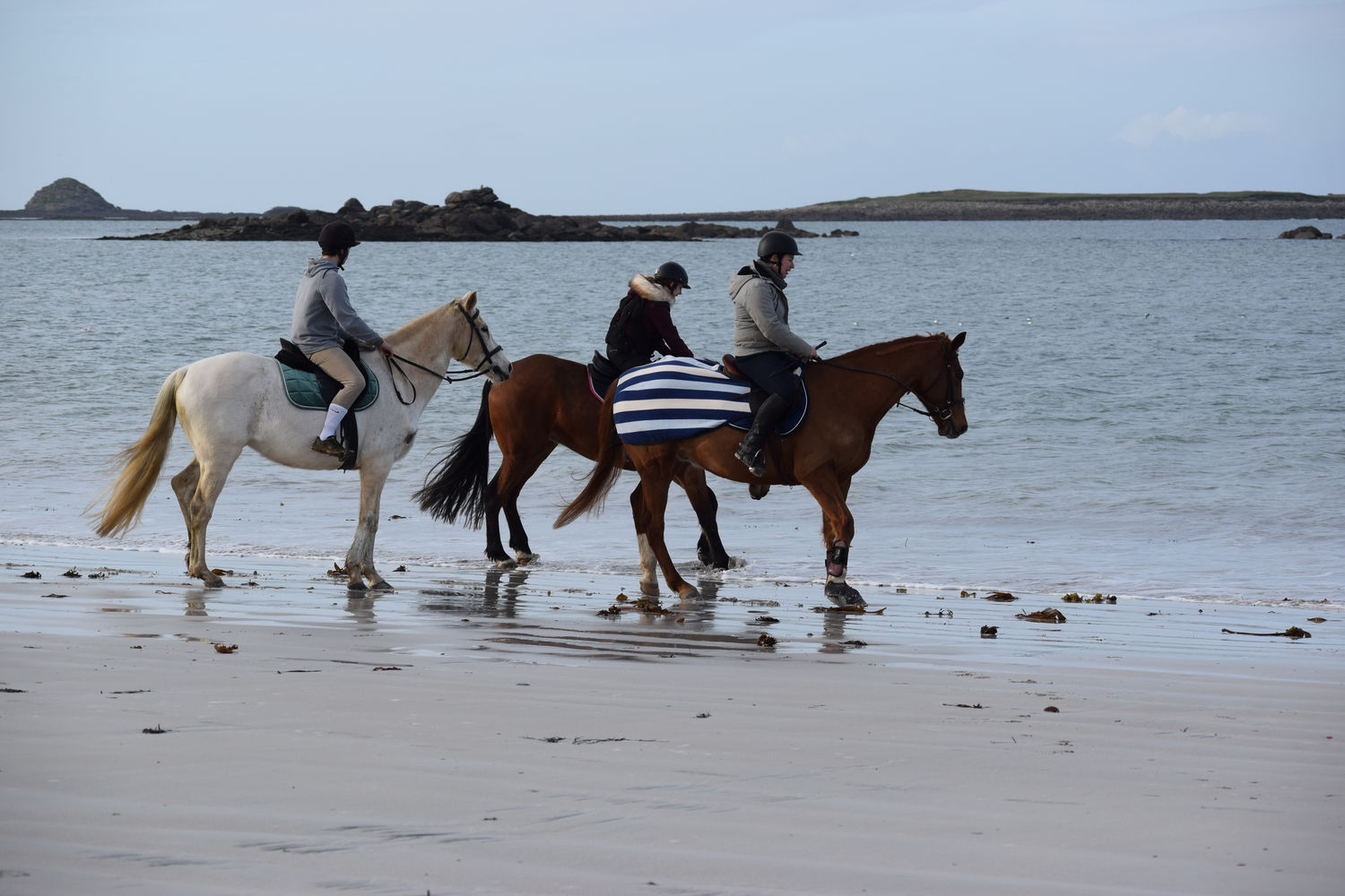 ballade-sur-la-plage-des-trois-moutons74