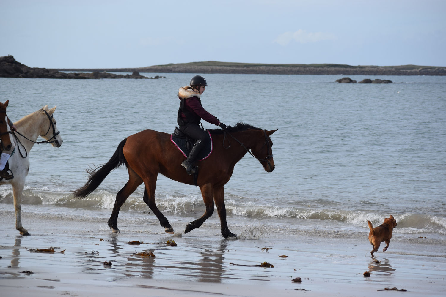 ballade-sur-la-plage-des-trois-moutons75