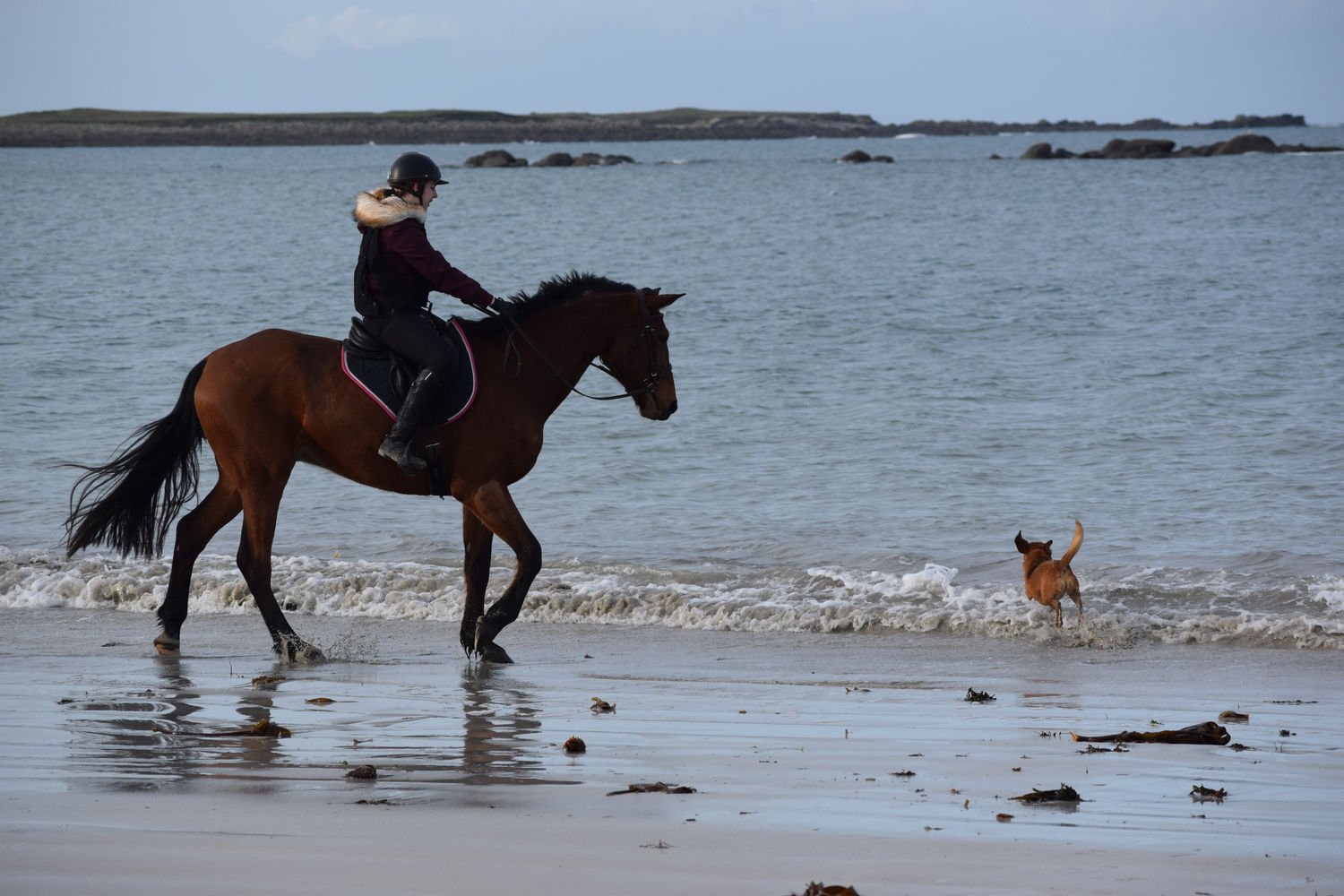 ballade-sur-la-plage-des-trois-moutons76