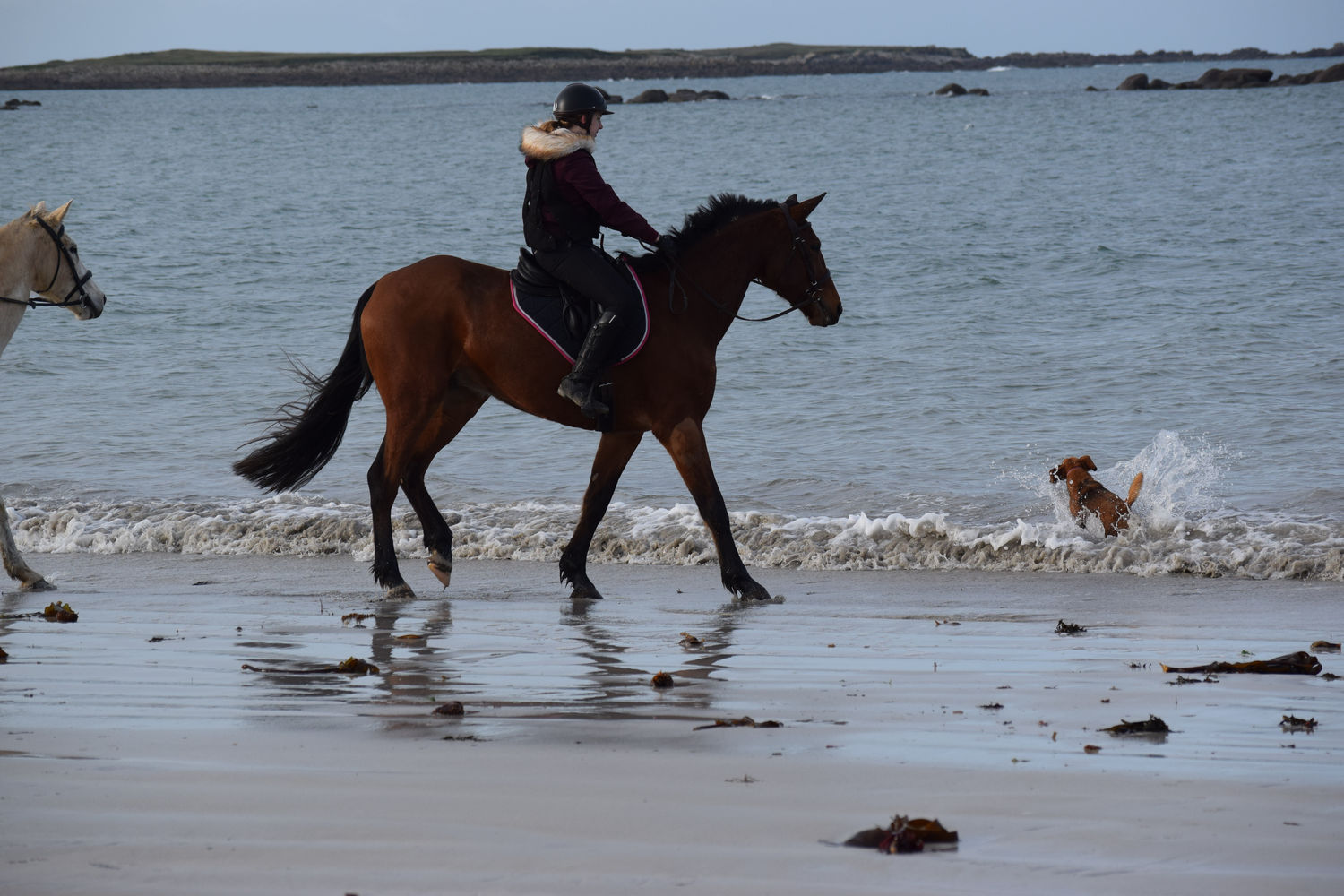 ballade-sur-la-plage-des-trois-moutons77