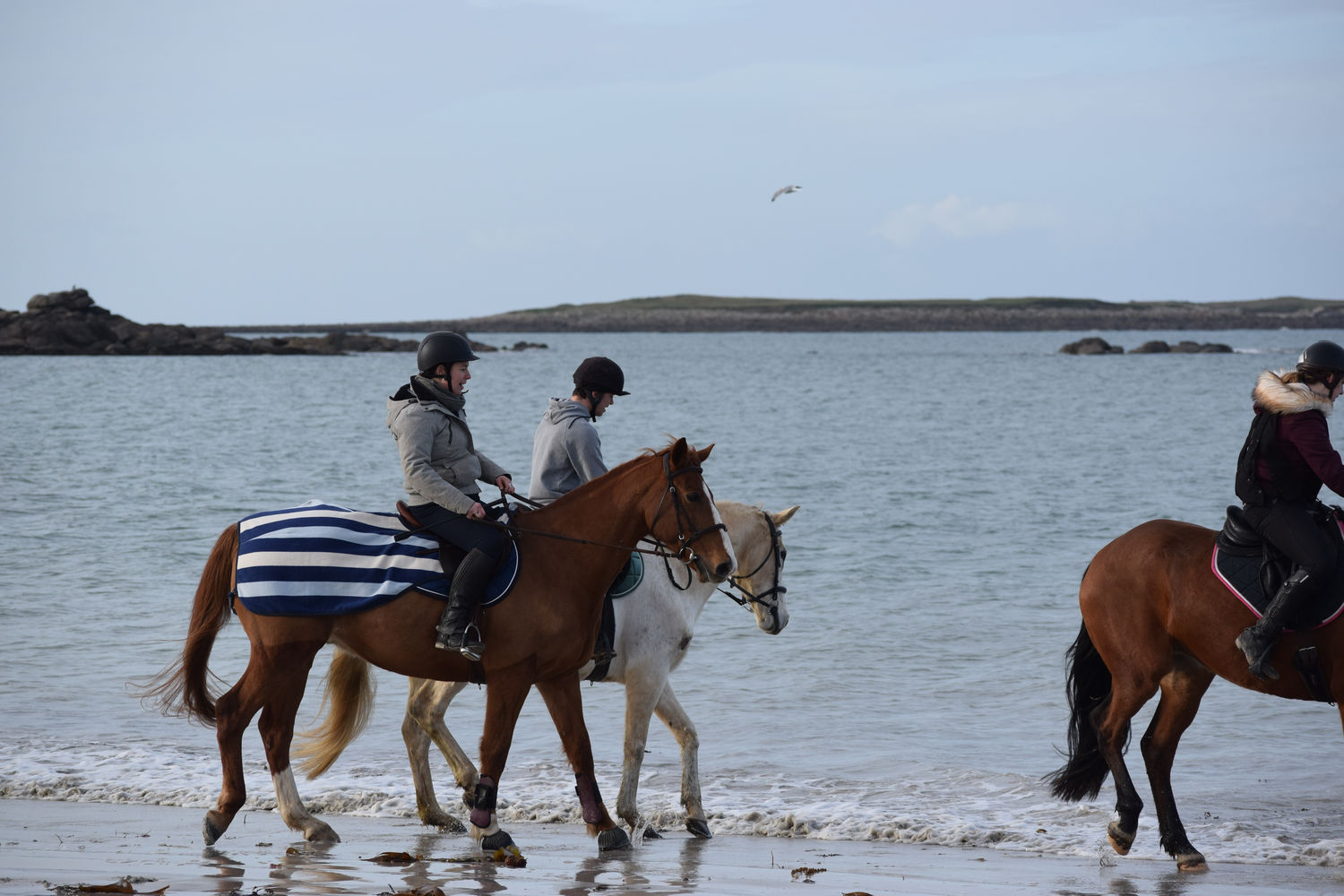 ballade-sur-la-plage-des-trois-moutons78