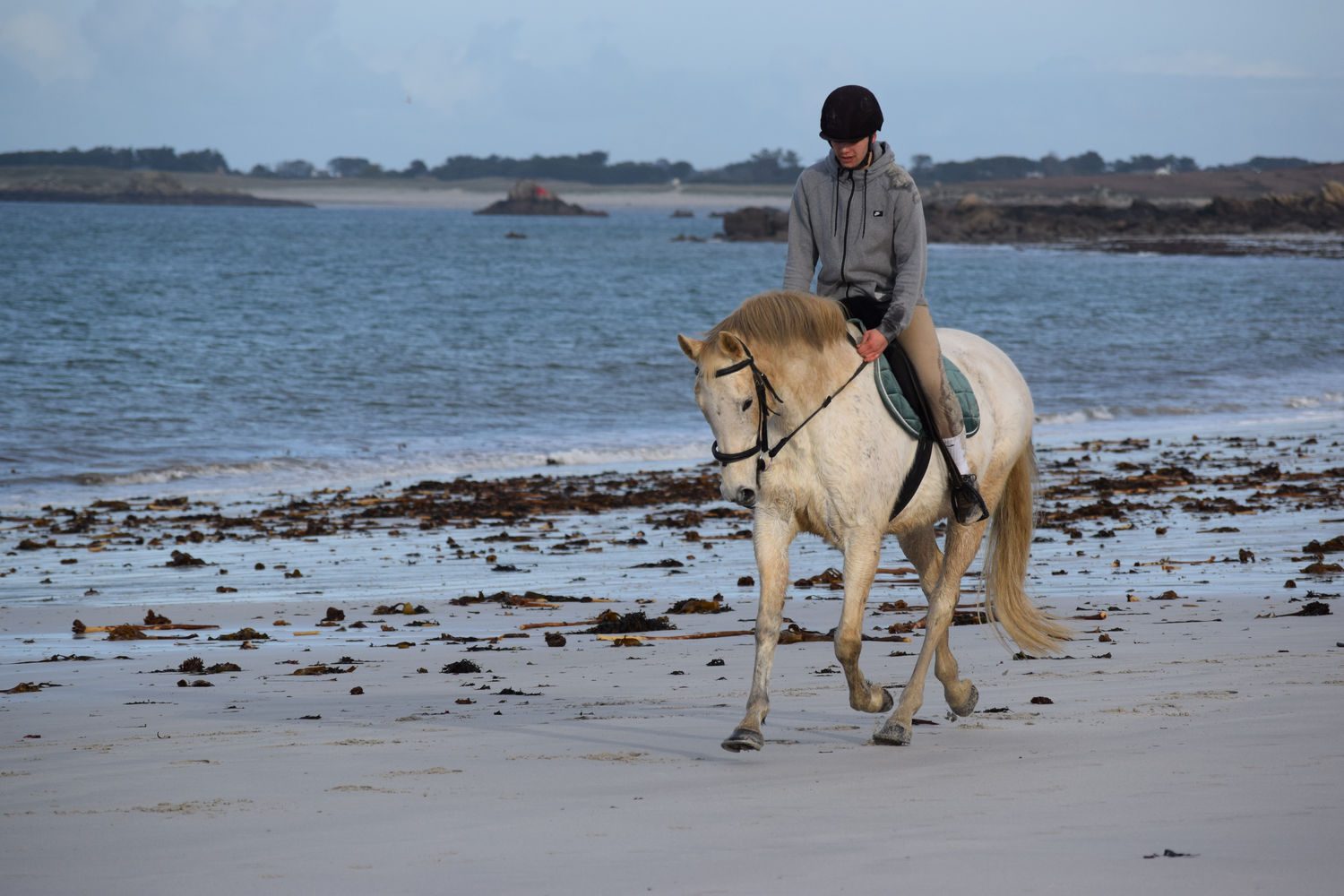 ballade-sur-la-plage-des-trois-moutons8