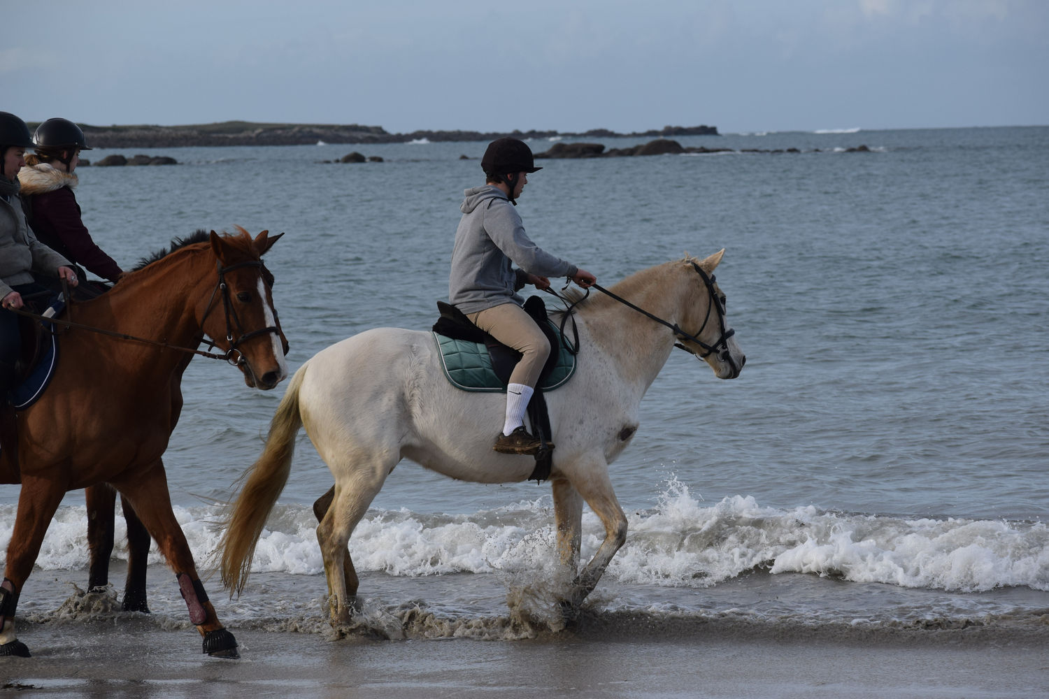 ballade-sur-la-plage-des-trois-moutons80