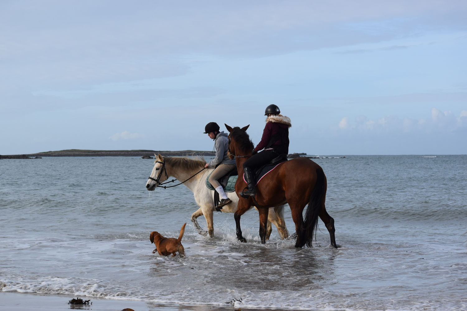 ballade-sur-la-plage-des-trois-moutons81