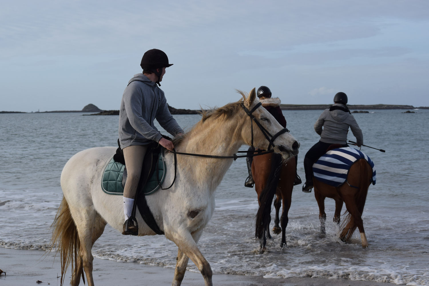 ballade-sur-la-plage-des-trois-moutons83