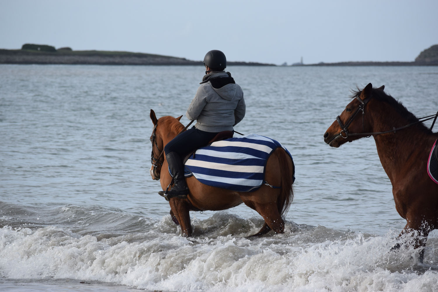 ballade-sur-la-plage-des-trois-moutons89