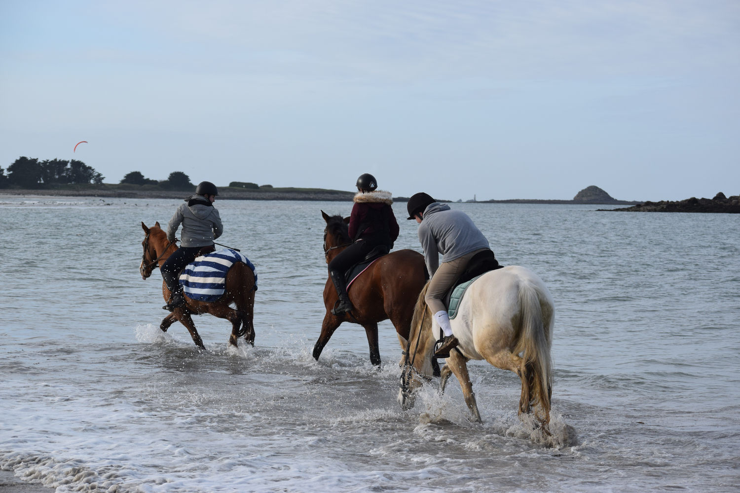 ballade-sur-la-plage-des-trois-moutons91