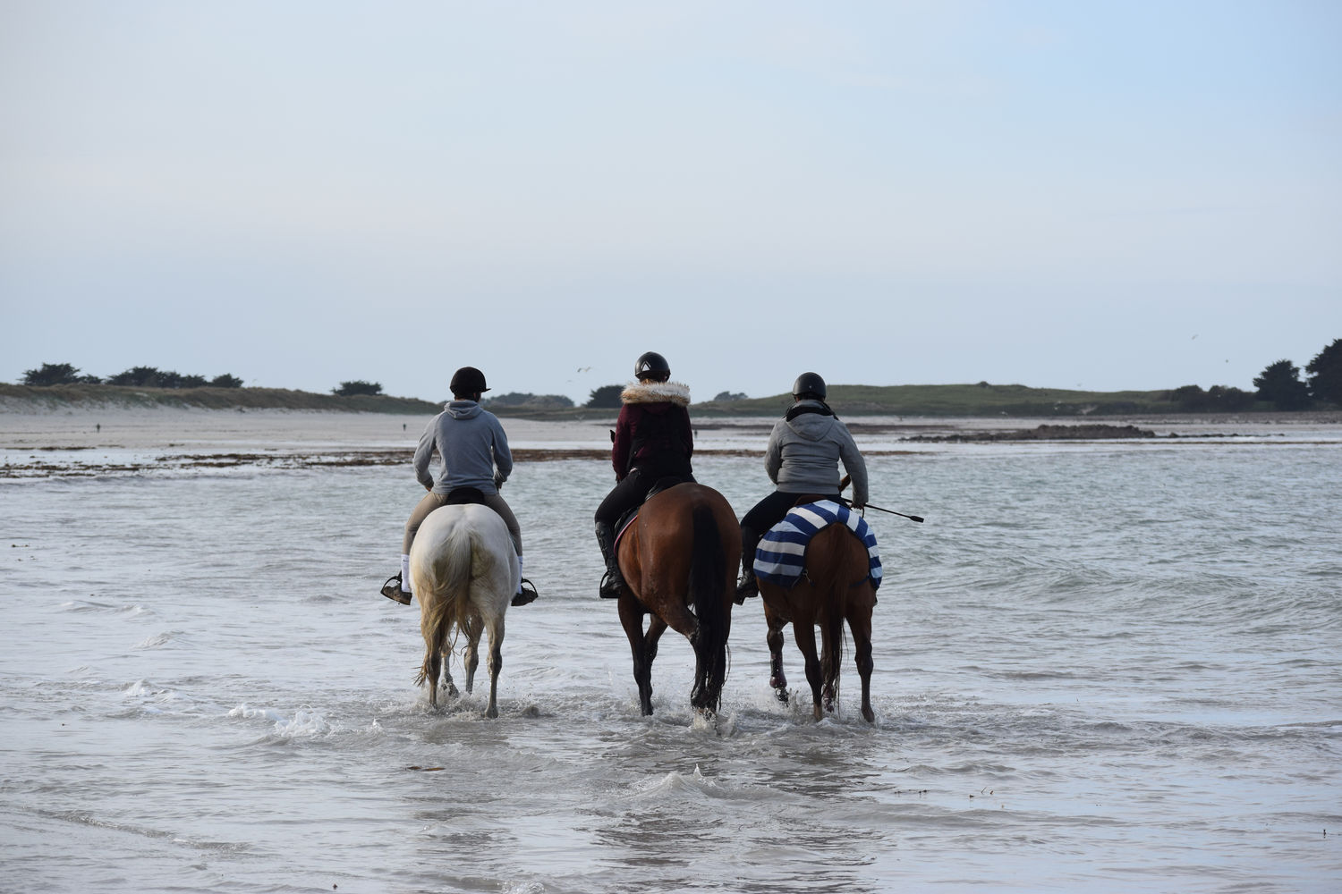 ballade-sur-la-plage-des-trois-moutons93