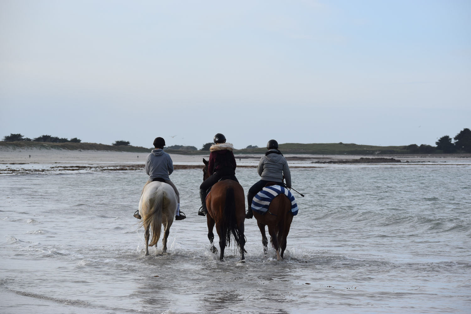 ballade-sur-la-plage-des-trois-moutons94