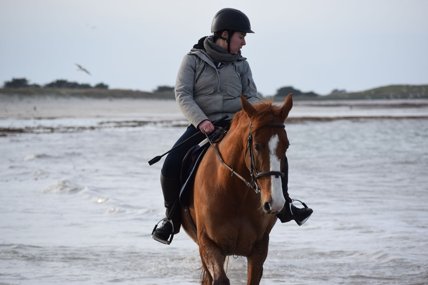 ballade-sur-la-plage-des-trois-moutons95