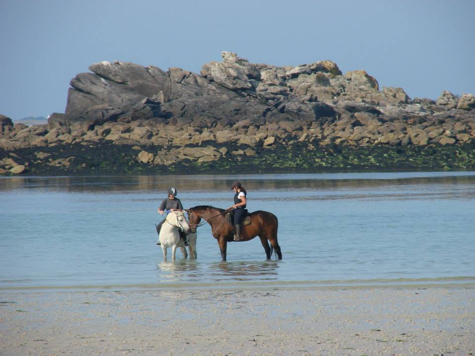 Écurie Des Tévenn en Bretagne dans le Finistère