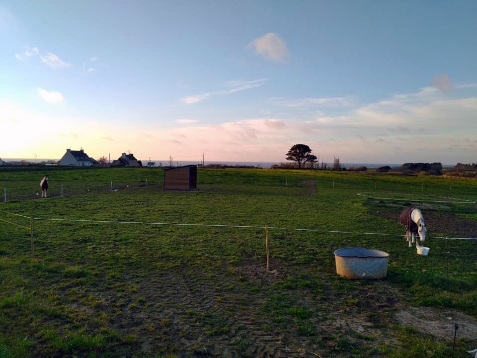 Écurie Des Tévenn en Bretagne dans le Finistère