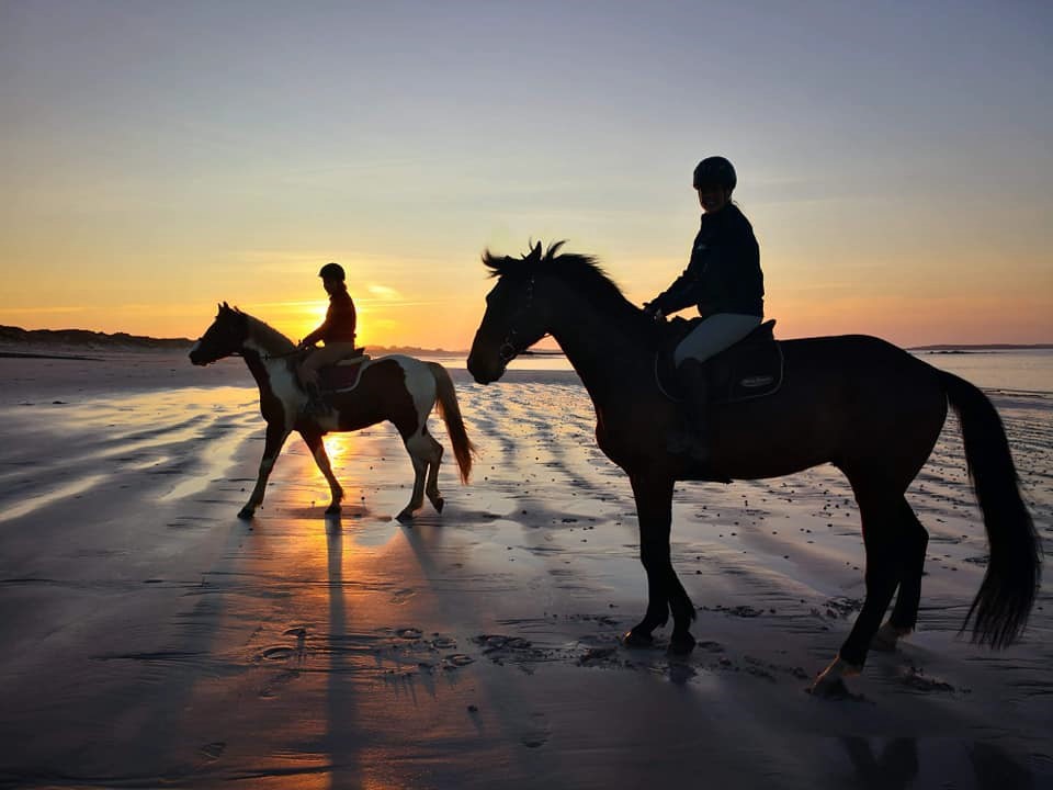 Écurie Des Tévenn en Bretagne dans le Finistère