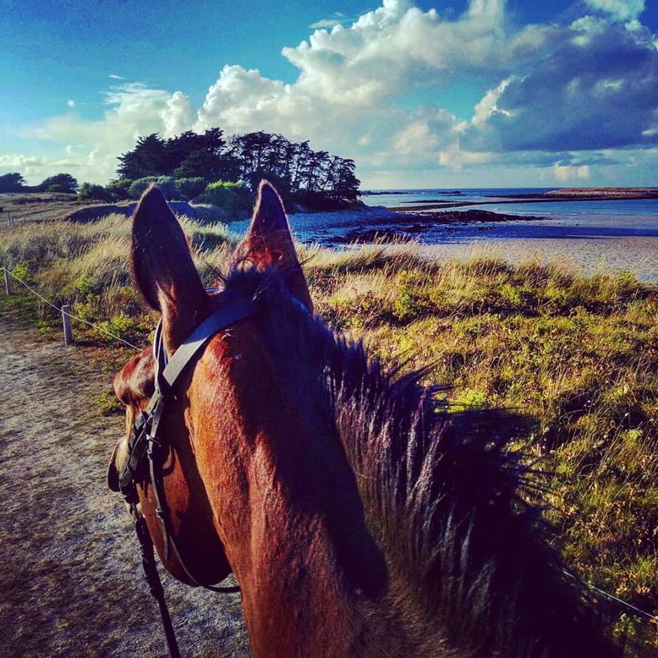 Écurie Des Tévenn en Bretagne dans le Finistère