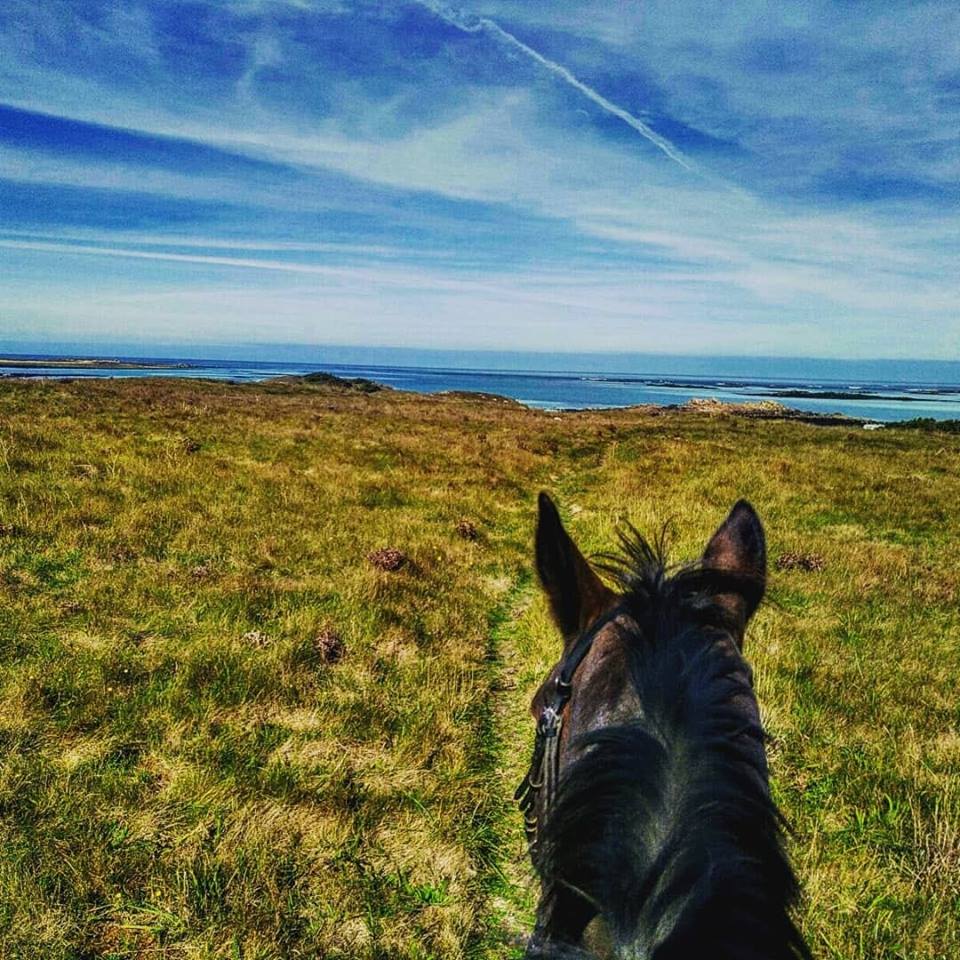 Écurie Des Tévenn en Bretagne dans le Finistère