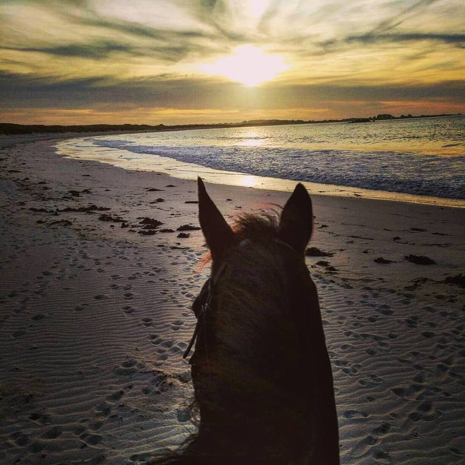 Écurie Des Tévenn en Bretagne dans le Finistère