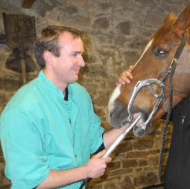 Mr Anthony Le Goff (dentiste équin)